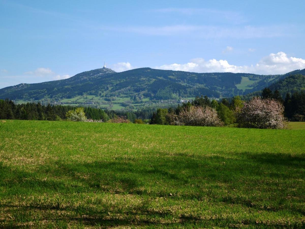 Luxury Villa Near Forest In Hlavice Czech Republic Vselibice Номер фото